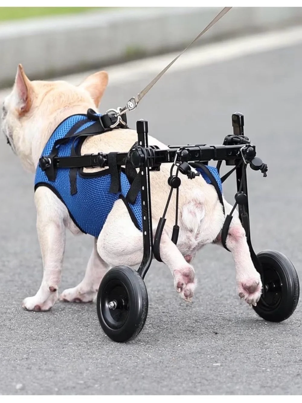Adjustable Dog Wheelchair Mobility Aid for Disabled Pets - Blue - Small/Medium